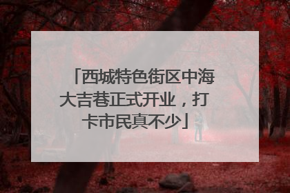 西城特色街区中海大吉巷正式开业，打卡市民真不少