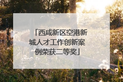 西咸新区空港新城人才工作创新案例荣获二等奖