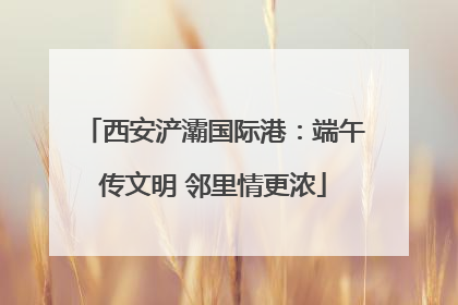 西安浐灞国际港：端午传文明 邻里情更浓