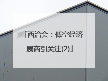 西洽会：低空经济展商引关注(2)
