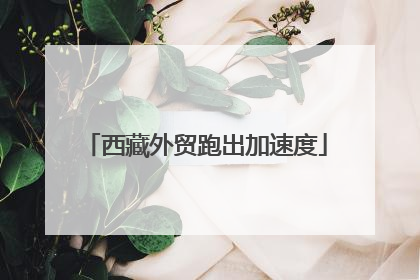 西藏外贸跑出加速度