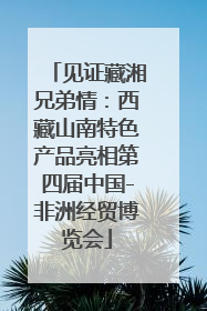见证藏湘兄弟情：西藏山南特色产品亮相第四届中国-非洲经贸博览会