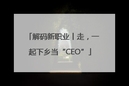 解码新职业丨走，一起下乡当“CEO”