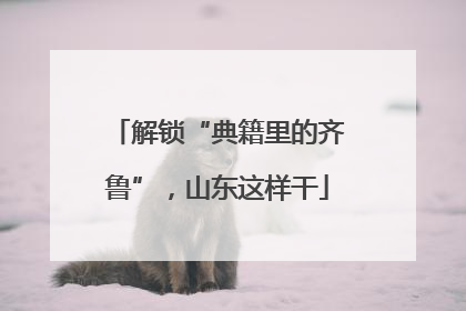 解锁“典籍里的齐鲁”，山东这样干