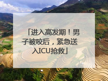 进入高发期！男子被咬后，紧急送入ICU抢救