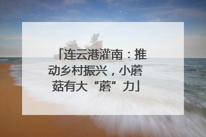 连云港灌南：推动乡村振兴，小蘑菇有大“蘑”力
