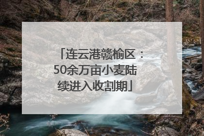 连云港赣榆区：50余万亩小麦陆续进入收割期