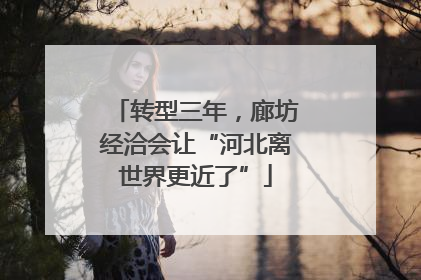 转型三年，廊坊经洽会让“河北离世界更近了”