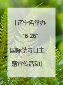 辽宁省举办“6·26”国际禁毒日主题宣传活动