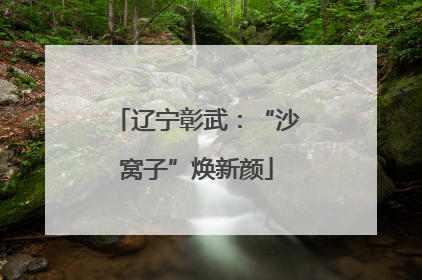 辽宁彰武：“沙窝子”焕新颜