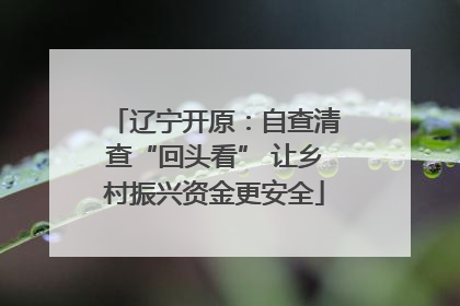 辽宁开原：自查清查“回头看” 让乡村振兴资金更安全