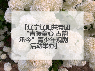 辽宁辽阳共青团“青暖童心 古韵承今”青少年观剧活动举办