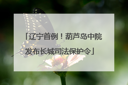 辽宁首例！葫芦岛中院发布长城司法保护令