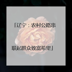 辽宁：农村公路串联起群众致富希望