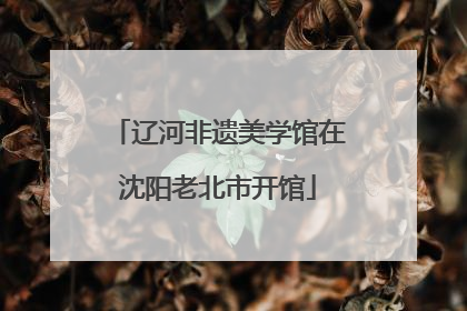 辽河非遗美学馆在沈阳老北市开馆