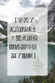 辛苦了，无言的战士！警犬退役撒娇训导员湿了眼眶