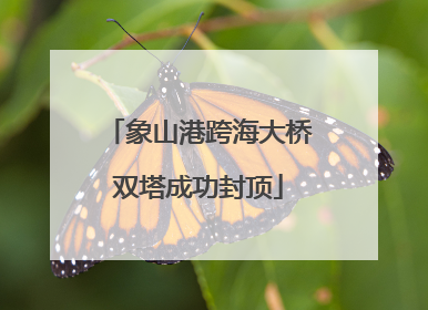 象山港跨海大桥双塔成功封顶