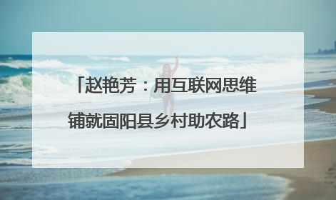 赵艳芳：用互联网思维铺就固阳县乡村助农路