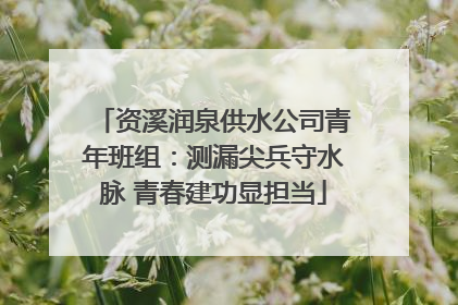 资溪润泉供水公司青年班组：测漏尖兵守水脉 青春建功显担当