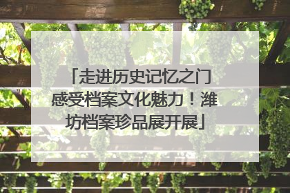 走进历史记忆之门 感受档案文化魅力！潍坊档案珍品展开展