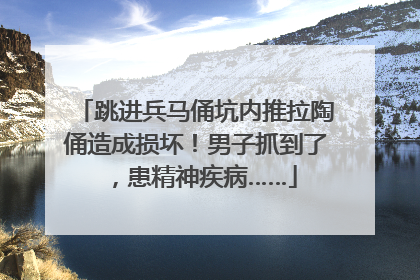 跳进兵马俑坑内推拉陶俑造成损坏！男子抓到了，患精神疾病……