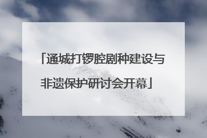 通城打锣腔剧种建设与非遗保护研讨会开幕