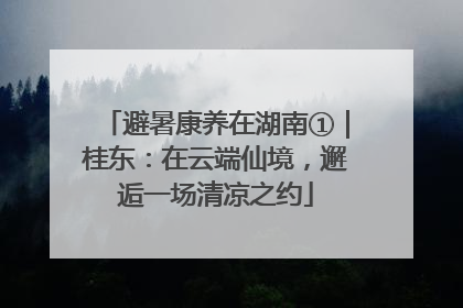避暑康养在湖南①｜桂东：在云端仙境，邂逅一场清凉之约