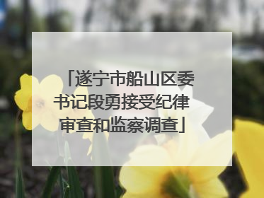 遂宁市船山区委书记段勇接受纪律审查和监察调查