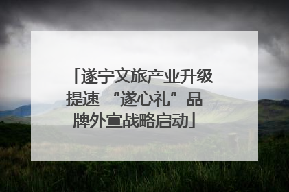 遂宁文旅产业升级提速 “遂心礼”品牌外宣战略启动
