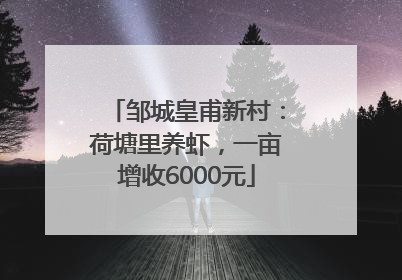 邹城皇甫新村：荷塘里养虾，一亩增收6000元
