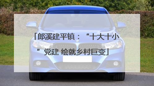 郎溪建平镇：“十大十小”党建 绘就乡村巨变