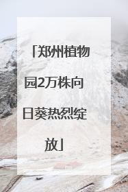 郑州植物园2万株向日葵热烈绽放