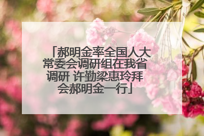 郝明金率全国人大常委会调研组在我省调研 许勤梁惠玲拜会郝明金一行