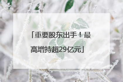 重要股东出手！最高增持超29亿元