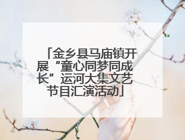 金乡县马庙镇开展“童心同梦同成长”运河大集文艺节目汇演活动