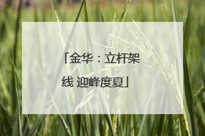 金华：立杆架线 迎峰度夏