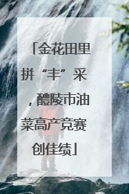 金花田里拼“丰”采，醴陵市油菜高产竞赛创佳绩