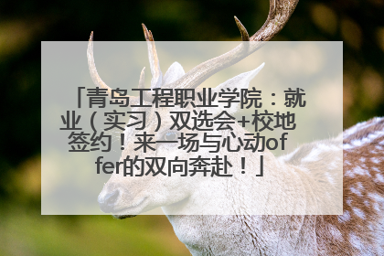 青岛工程职业学院：就业（实习）双选会+校地签约！来一场与心动offer的双向奔赴！