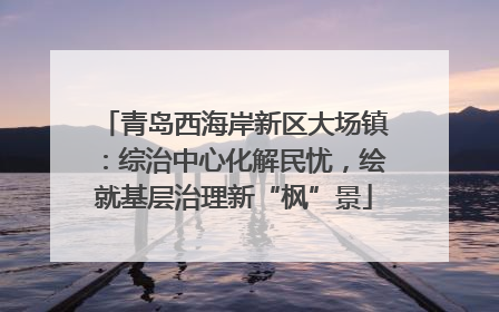 青岛西海岸新区大场镇：综治中心化解民忧，绘就基层治理新“枫”景