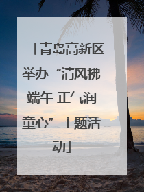 青岛高新区举办“清风拂端午 正气润童心”主题活动