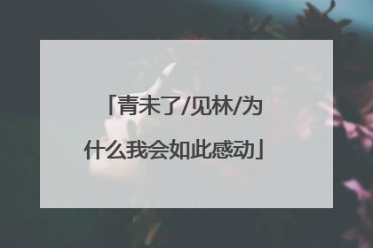 青未了/见林/为什么我会如此感动