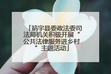 靖宇县委政法委司法局机关积极开展“公共法律服务进乡村”主题活动