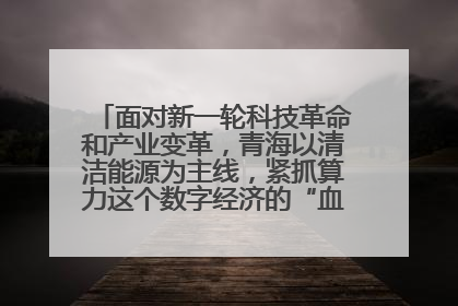 面对新一轮科技革命和产业变革，青海以清洁能源为主线，紧抓算力这个数字经济的“血液”、科技主权的“筹码”、产业升级的“杠杆”、绿色转型的“支点”，勇于撬动国家“双碳”战略、“东数西算”工程重大发展新机遇
