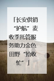长安供销“护航”麦收季托管服务助力金色田野“抢收忙”