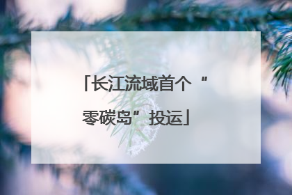 长江流域首个“零碳岛”投运