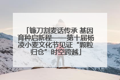 镰刀割麦话传承 基因育种启新程——第十届杨凌小麦文化节见证“颗粒归仓”时空跨越
