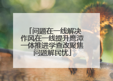 问题在一线解决 作风在一线提升鹰潭一体推进学查改聚焦问题解民忧