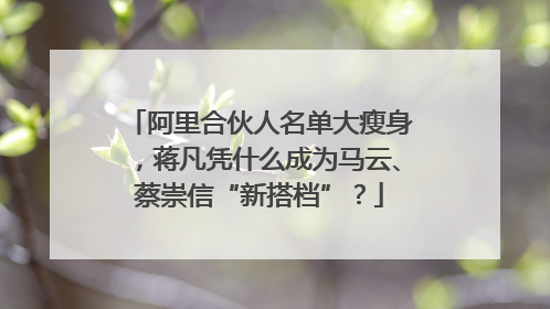 阿里合伙人名单大瘦身，蒋凡凭什么成为马云、蔡崇信“新搭档”？