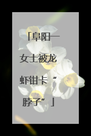 阜阳一女士被龙虾钳卡“脖子”