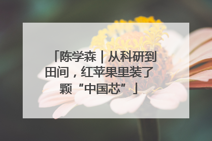 陈学森｜从科研到田间，红苹果里装了颗“中国芯”